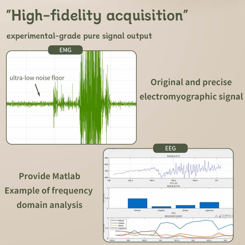 Módulo de Adquisición de EEG y - Muscle Sensor Emg reseña y precio